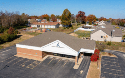 431 Arbor Spring Drive, St. Louis MO, 63021